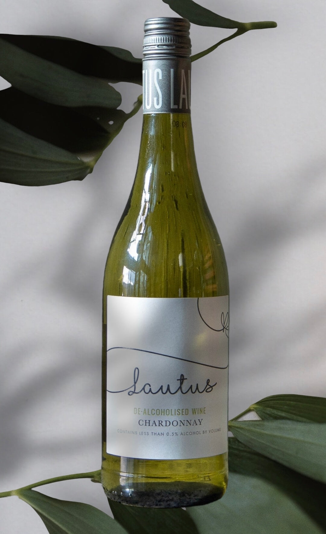 Lautus - Chardonnay